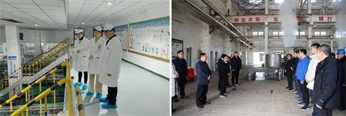 HJC黄金城·(中国区)集团官方网站