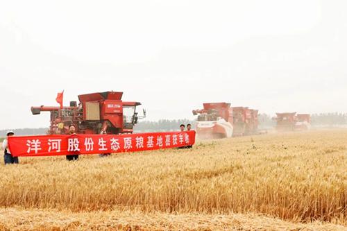 HJC黄金城·(中国区)集团官方网站