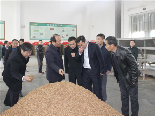 HJC黄金城·(中国区)集团官方网站